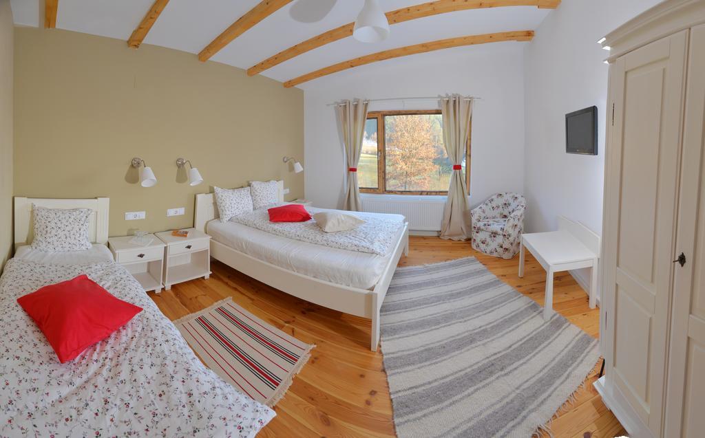 Talhaus Otel Vişeu de Sus Dış mekan fotoğraf