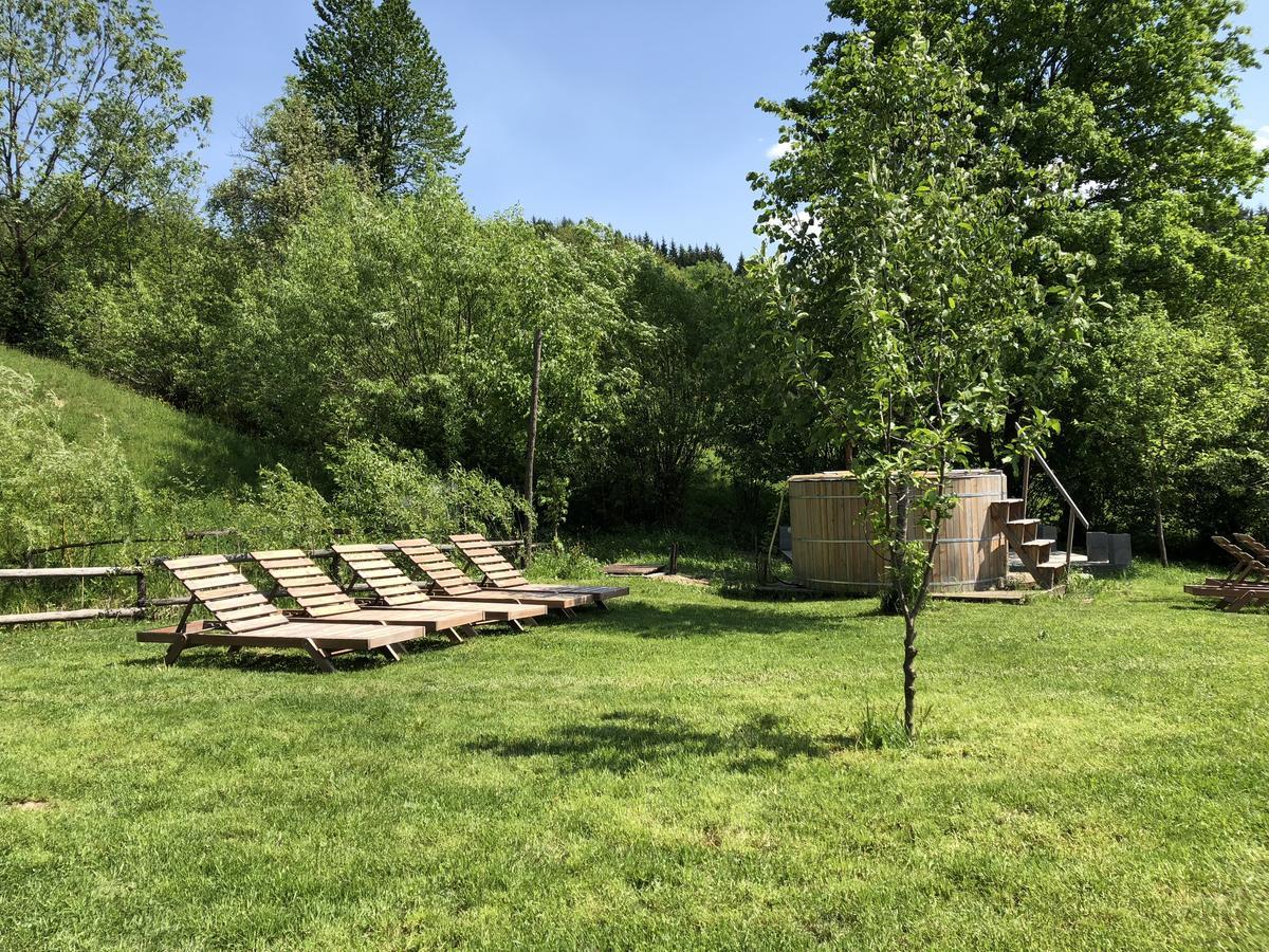 Talhaus Otel Vişeu de Sus Dış mekan fotoğraf